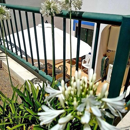 Apartamento Encantador A 100M Da Praia Карвоейру Экстерьер фото